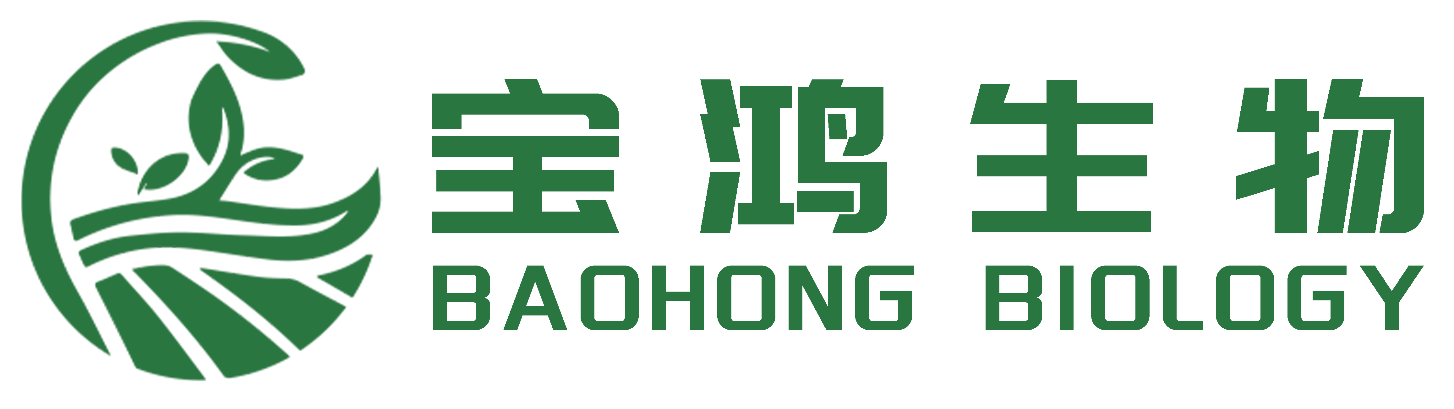 企业通用模版网站